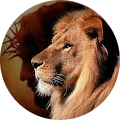 chad jeffrey mayeux family law google review avatar